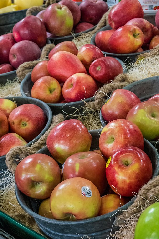 Wenatchee-Washington State-USA Freshly harvested locally grown Fuji and other apples